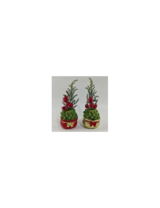 PIANTINA C/VASO  SACCO 20cm 629056