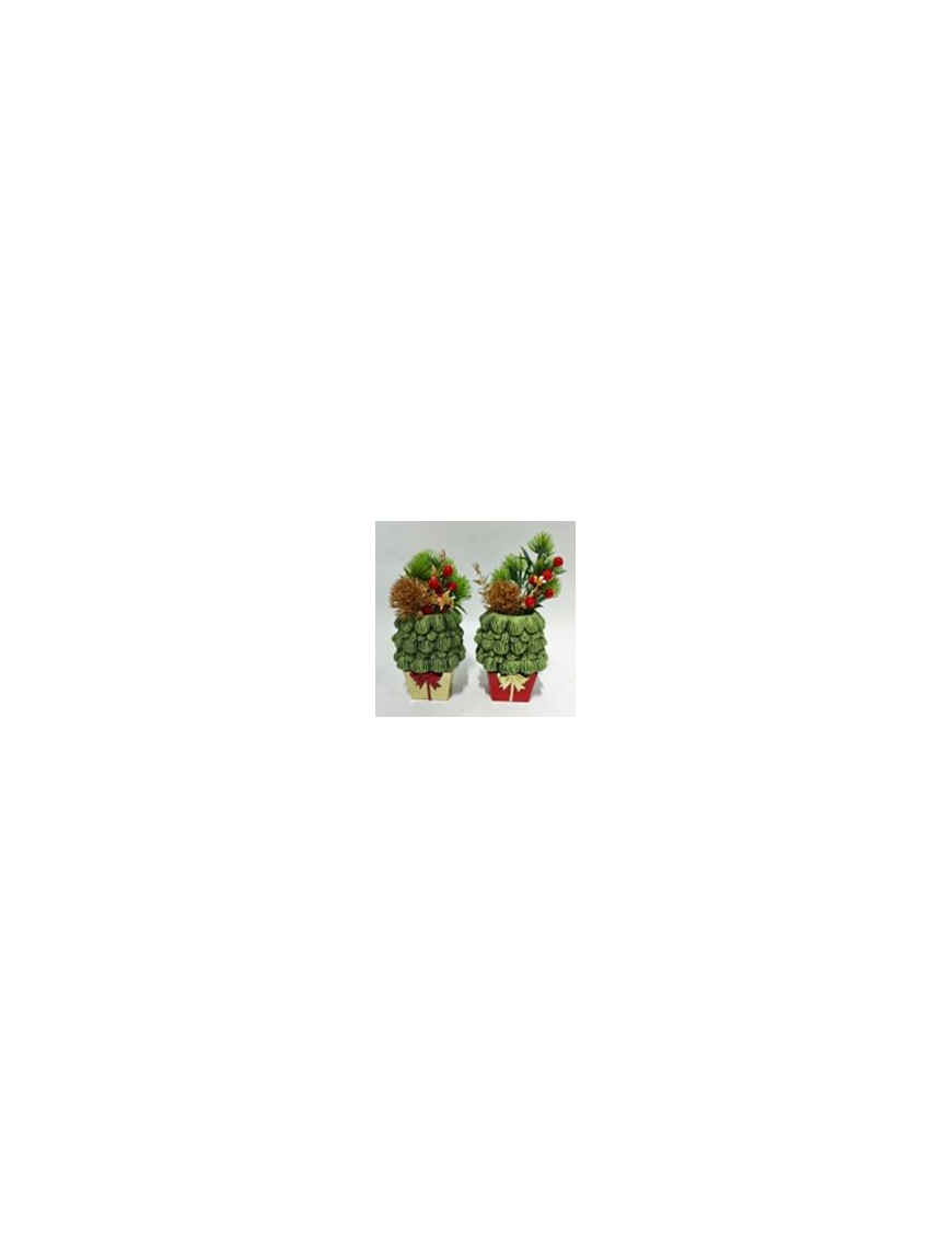 PIANTINA C/VASO  PACCO 23cm 629067