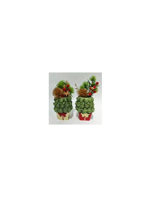 PIANTINA C/VASO  PACCO 23cm 629067