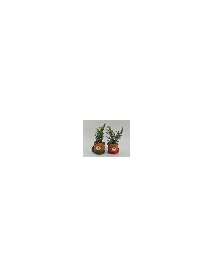 PIANTINA C/VASO  ORSO 18cm 629070