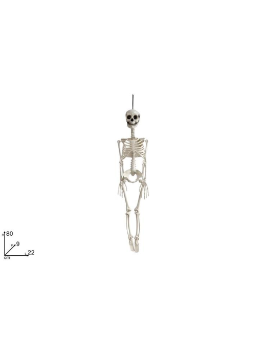SKELETON HANGER 80 cm