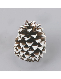 PIGNA NATURALE 10cm INNEVATA