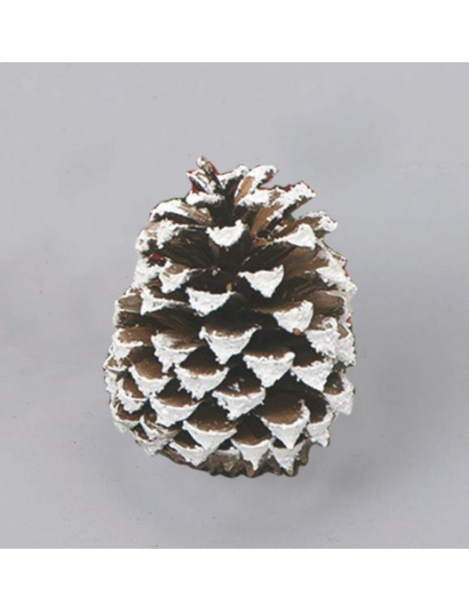 NATURAL PINE CONE 10cm SNOWY