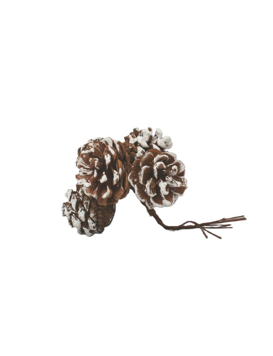 NATURAL PIGNETS 4cm