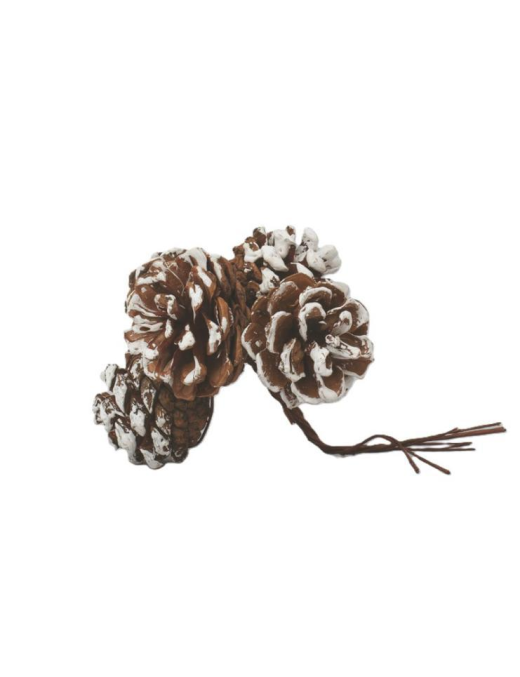 NATURAL PIGNETS 4cm