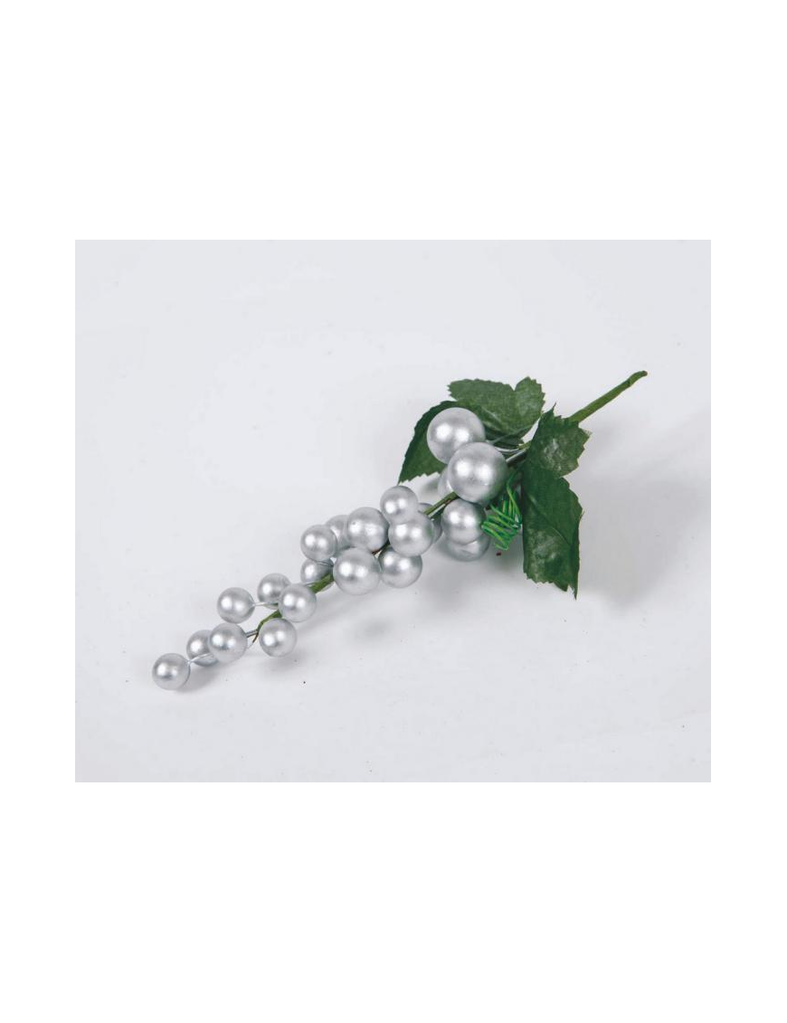 SILVER BERRY TREE 15cm