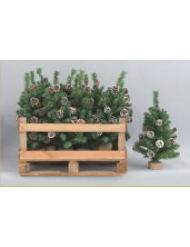 ALBERELLO VERDE CON PIGNE  80cm