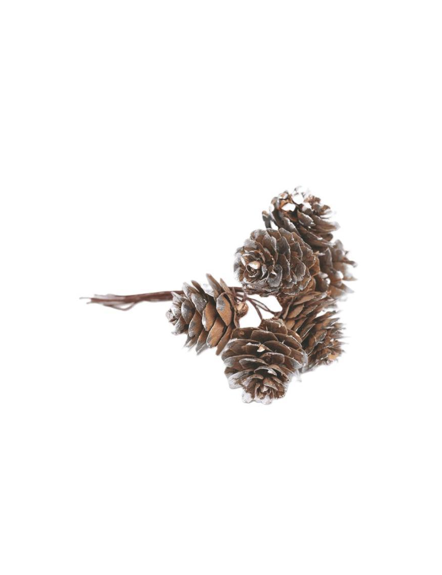 NATURAL PIGNETS 2.5cm SILVER GLITTER
