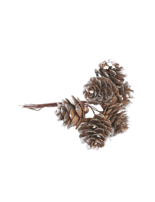 PIGNETTE NATURALI 2,5cm GLITTER ARGENTO