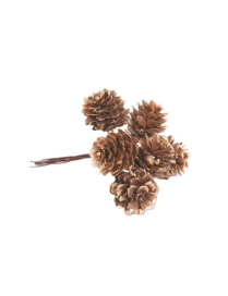 PIGNETTE NATURALI 2,5cm GLITTER ORO
