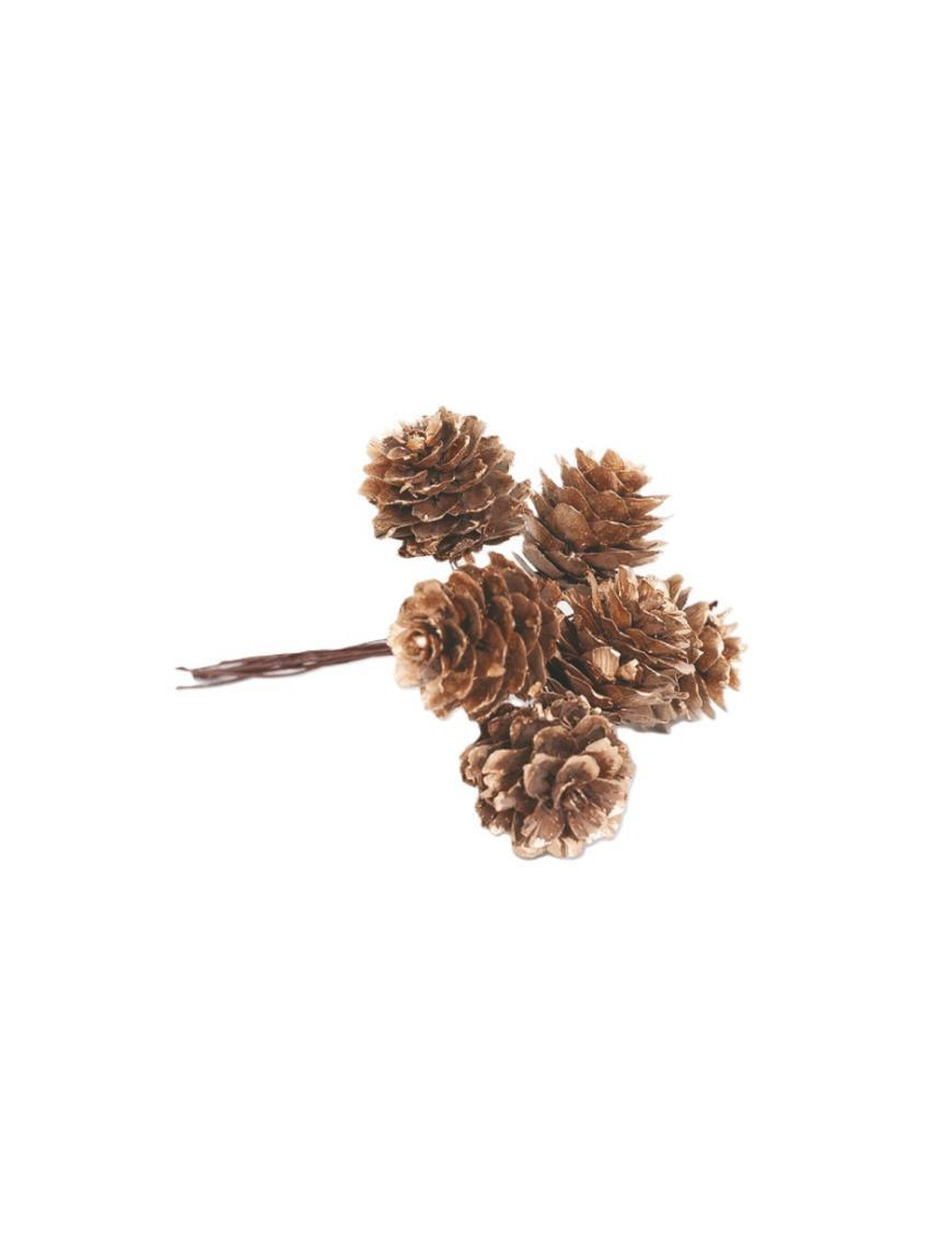 PIGNETTE NATURALI 2,5cm GLITTER ORO
