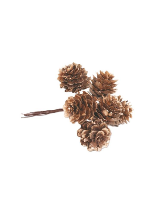 PIGNETTE NATURALI 2,5cm GLITTER ORO