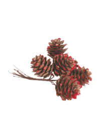 PIGNETTE NATURALI 2,5cm GLITTER ROSSO