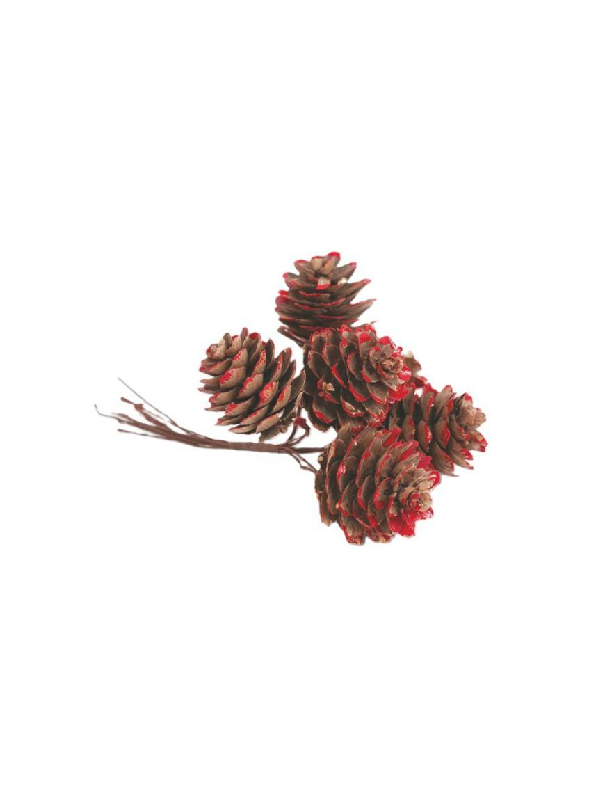 PIGNETTE NATURALI 2,5cm GLITTER ROSSO