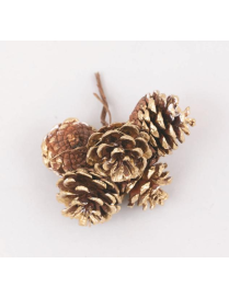 PIGNETTE NATURALI 4cm GLITTER ORO