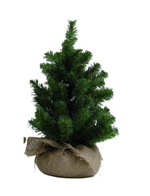 ALBERELLO VERDE 60cm BASE JUTA