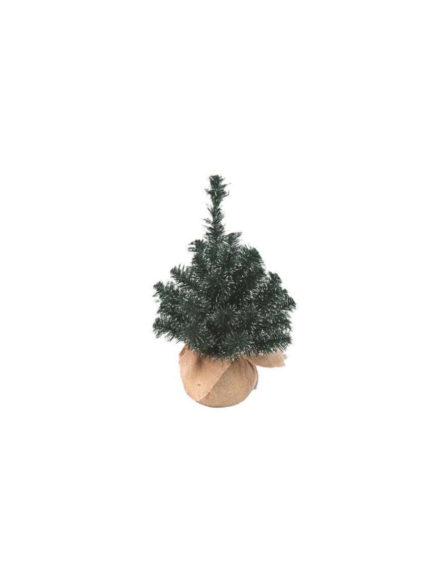 ALBERELLO VERDE PUNTE BIANCHE 60cm