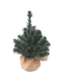 ALBERELLO VERDE PUNTE BIANCHE 80cm