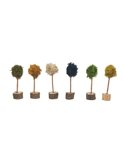 ACCESSORI PRESEPE ALBERINO LICHENE 3x14cm