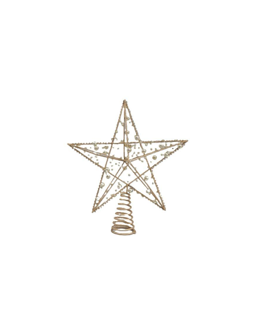 GOLD STAR TIP 23x28.5cm