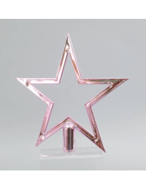 PUNTALE PVC STELLA ROSA 20cm
