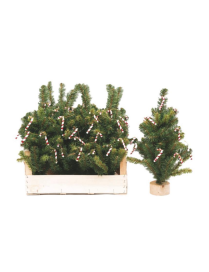 50cm Green PVC Tree with Sticks