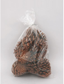 PIGNE NATURALI 12cm 8pz FA-31197