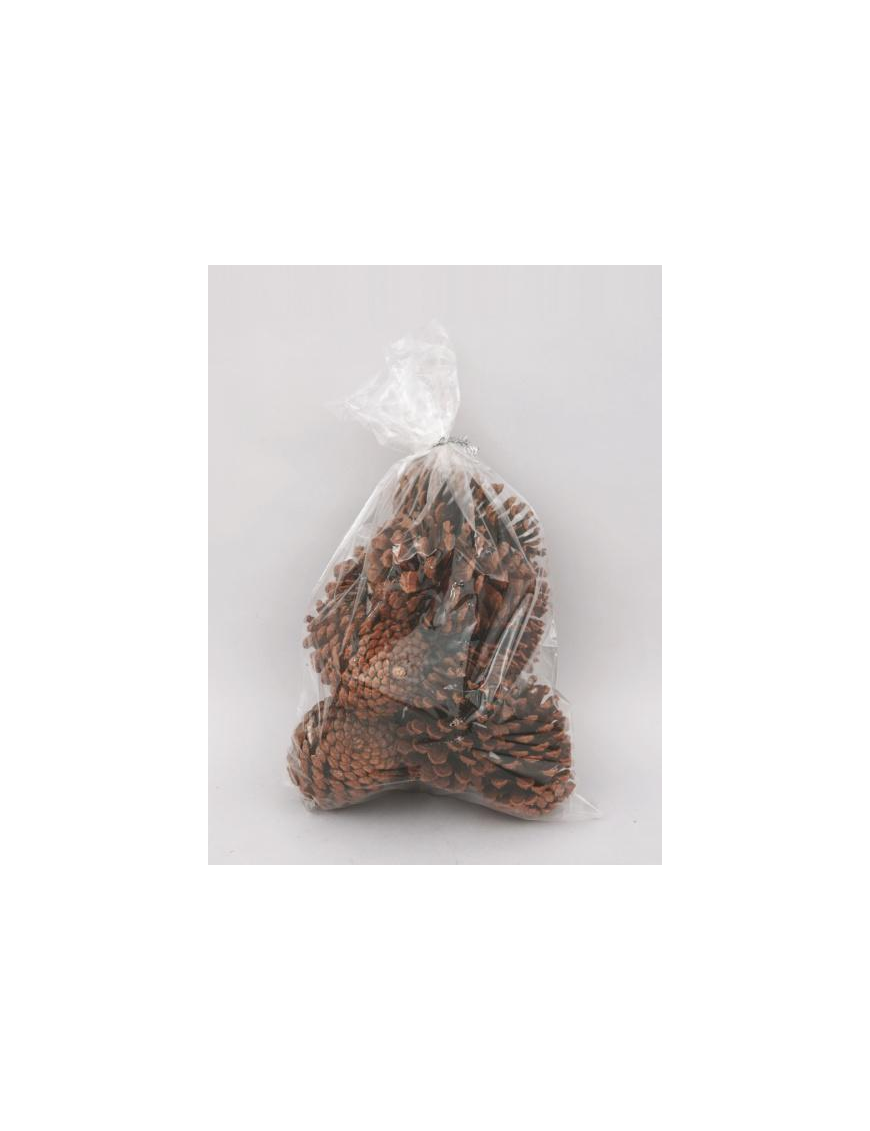 PIGNE NATURALI 12cm 8pz FA-31197