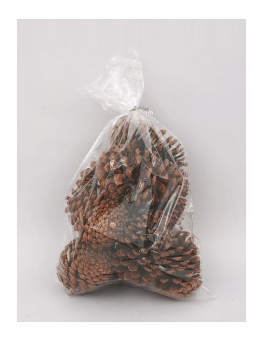 PIGNE NATURALI 12cm 8pz FA-31197