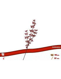L.BRILLER RAMO COL ROSSO 57cm 04684 $$