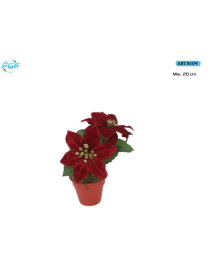 LINEA PENINSULA PLANT 20cm
