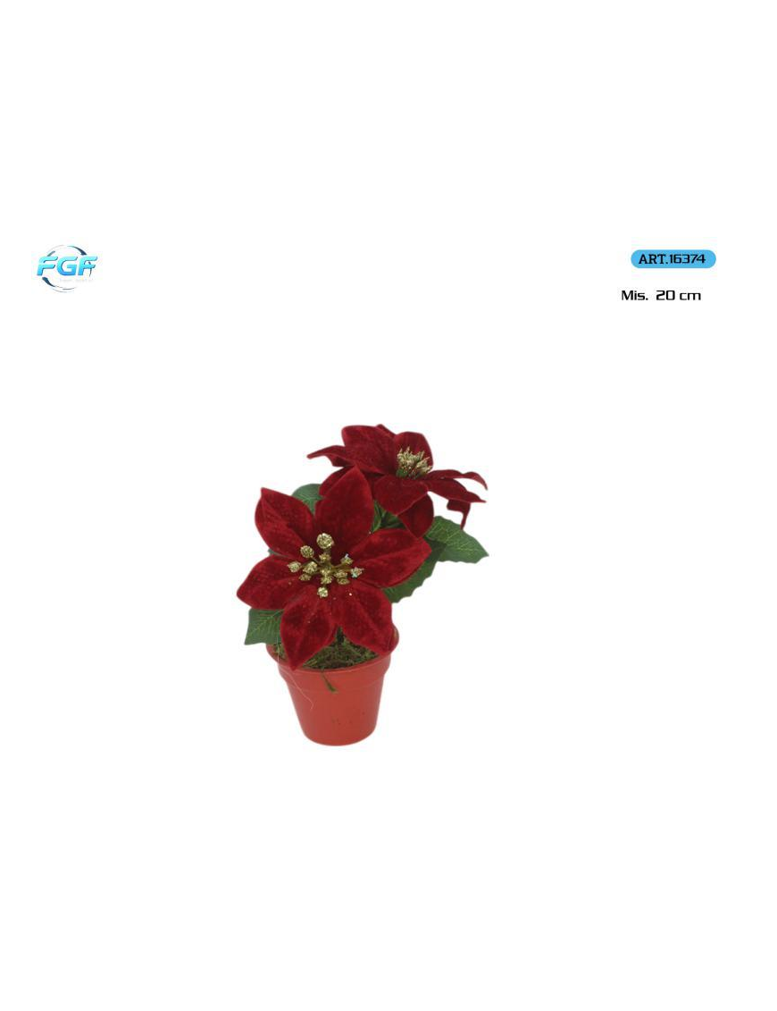 LINEA PENINSULA PLANT 20cm