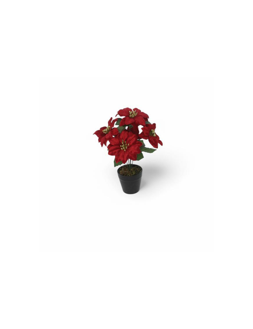 LINEA PENINSULA PLANT 28cm