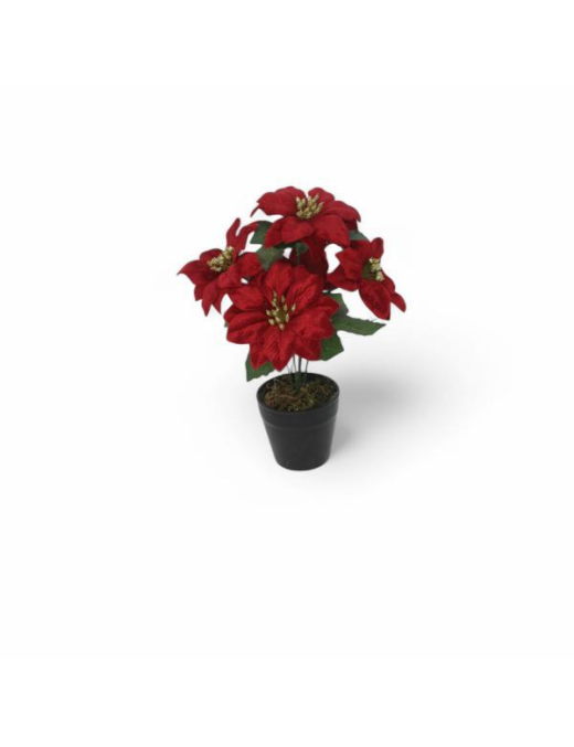 LINEA STELLA NATALE PIANTINA 28cm