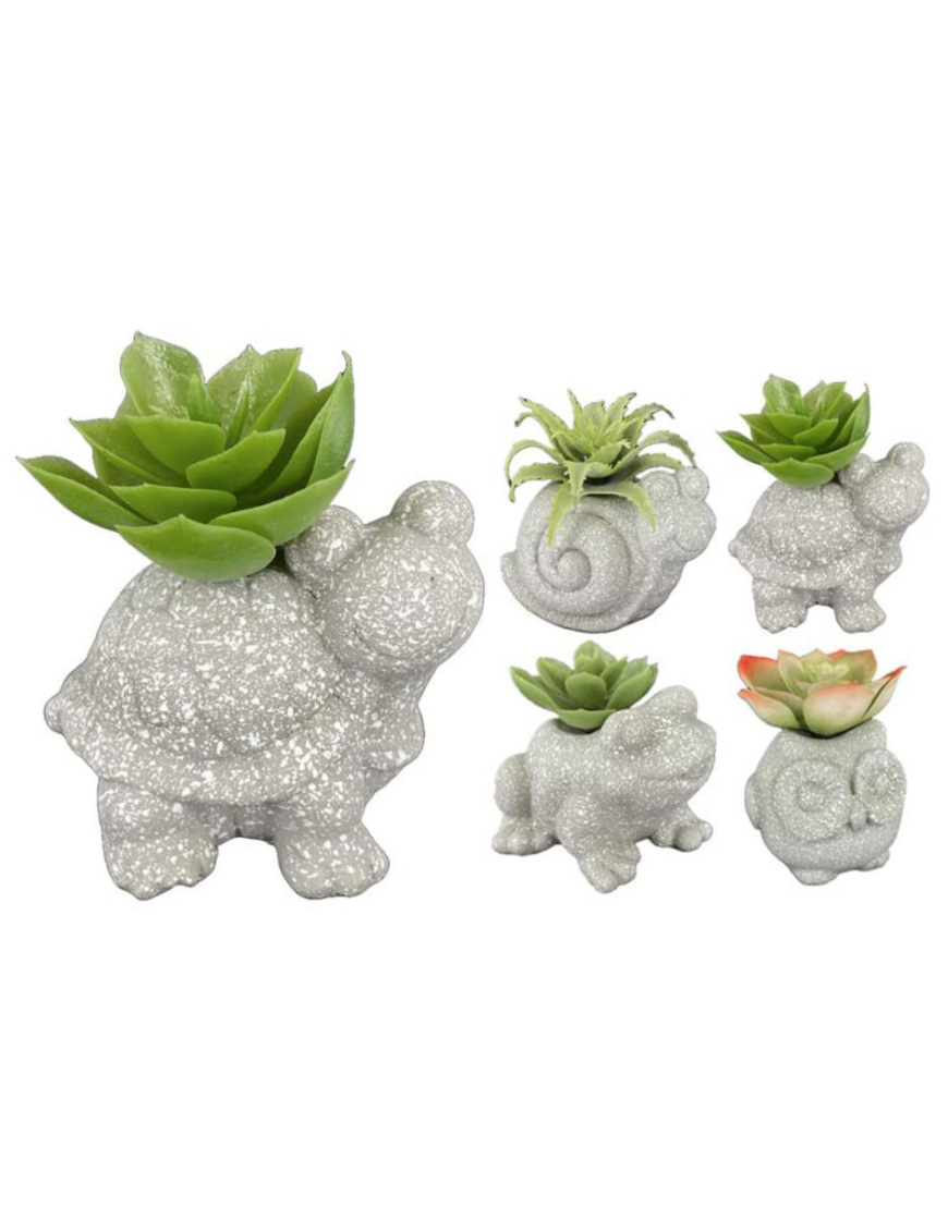 PIANTA GRASSA SMALL ANIMALI 6x5x7 62663