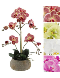 PIANTA G. ORCHIDEA REAL TOUCH 56cm 62773