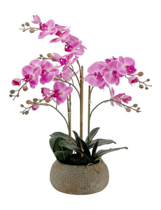 PIANTA GR. ORCHIDEA REAL TOUCH 63cm 6277