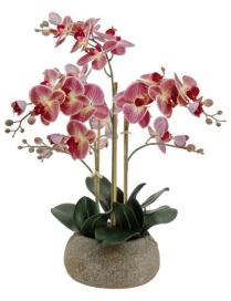 PIANTA GR. ORCHIDEA REAL TOUCH 63cm 6277