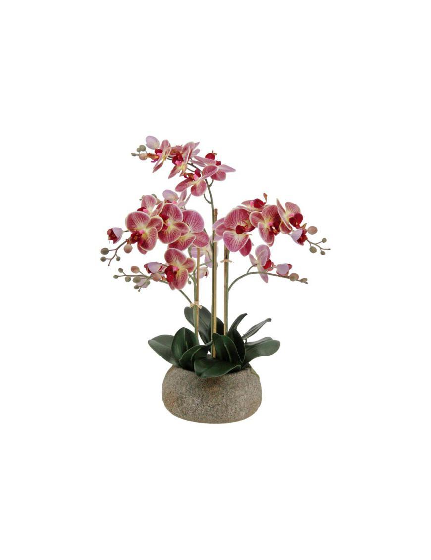 PIANTA GR. ORCHIDEA REAL TOUCH 63cm 6277