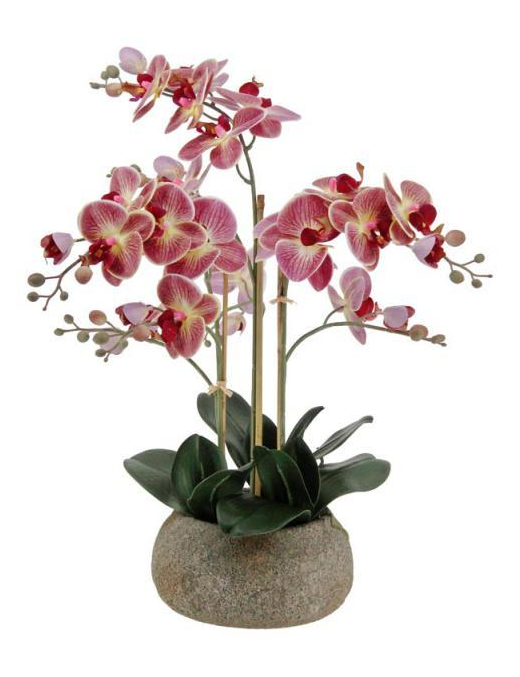 PIANTA GR. ORCHIDEA REAL TOUCH 63cm 6277