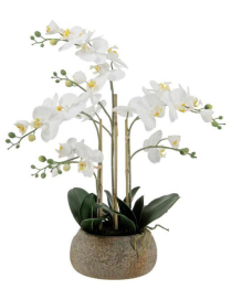 PIANTA GR. ORCHIDEA REAL TOUCH 63cm 6276