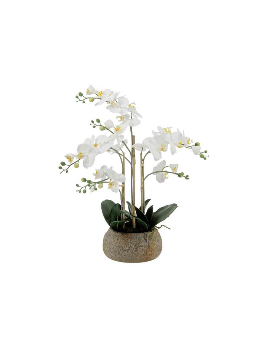 PIANTA GR. ORCHIDEA REAL TOUCH 63cm 6276