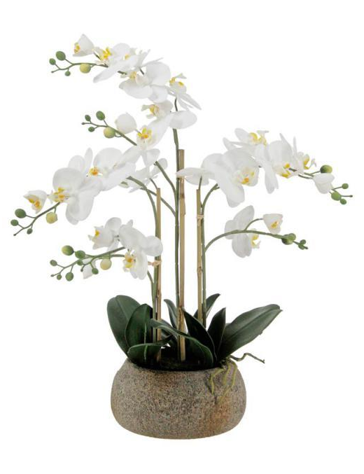 PIANTA GR. ORCHIDEA REAL TOUCH 63cm 6276