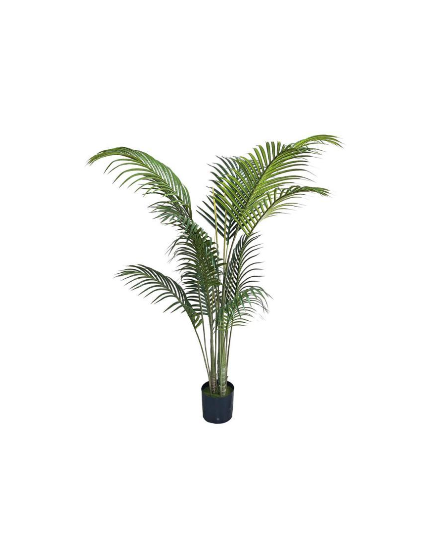 PIANTA G. PALMA GREEN 153cm 62764
