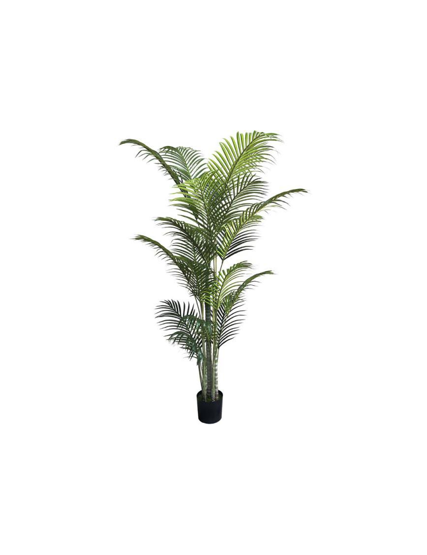 PIANTA GR. PALMA GREEN 213cm 62762