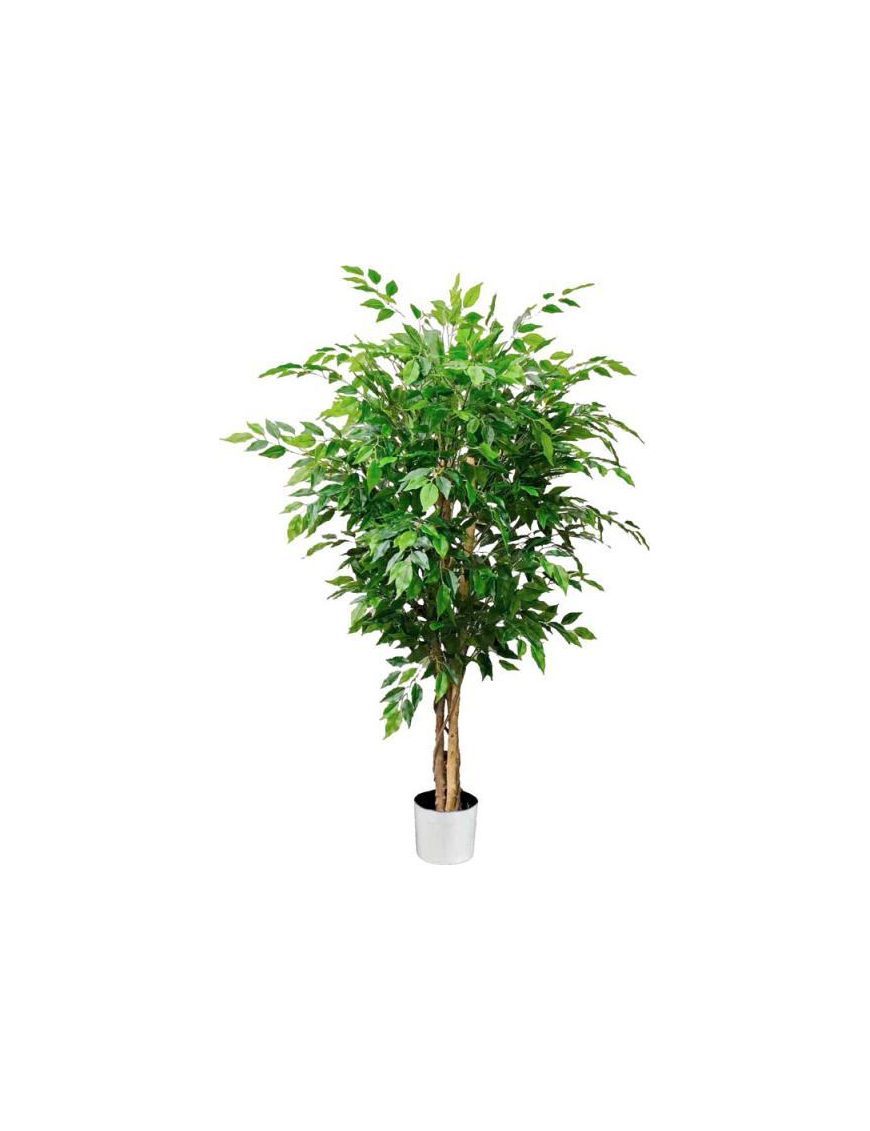 PIANTA GR. FICUS FOREST 120cm 62801