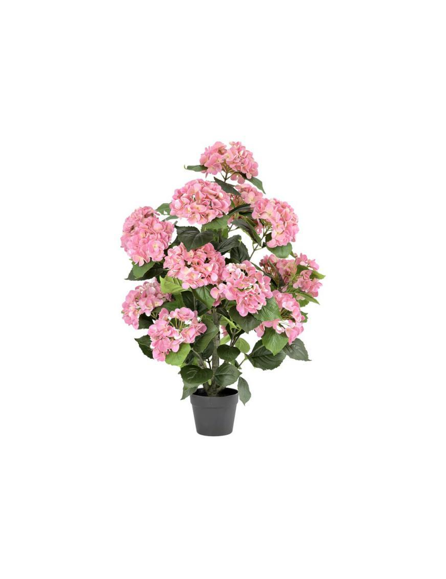 PIANTA GR. ORTENSIA ROSA 90cm 63187