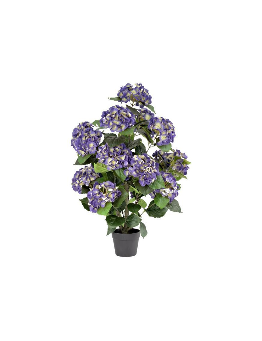 PIANTA GR. ORTENSIA VIOLA 90cm 63189
