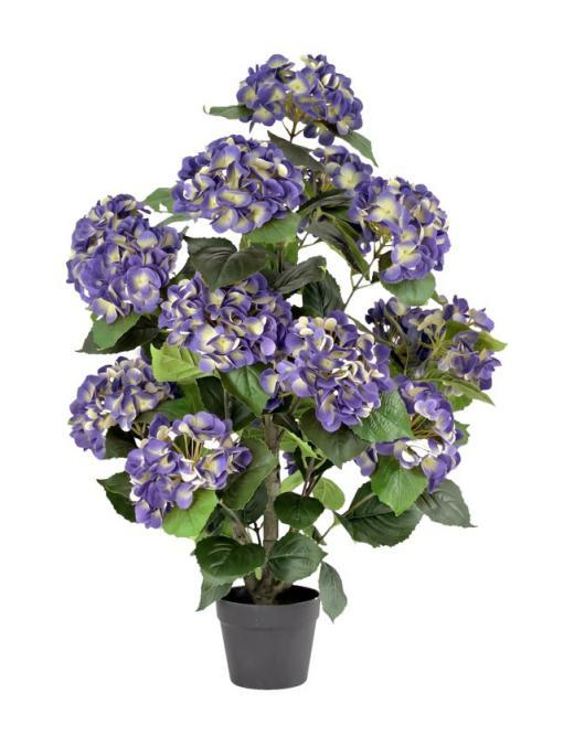 PIANTA GR. ORTENSIA VIOLA 90cm 63189