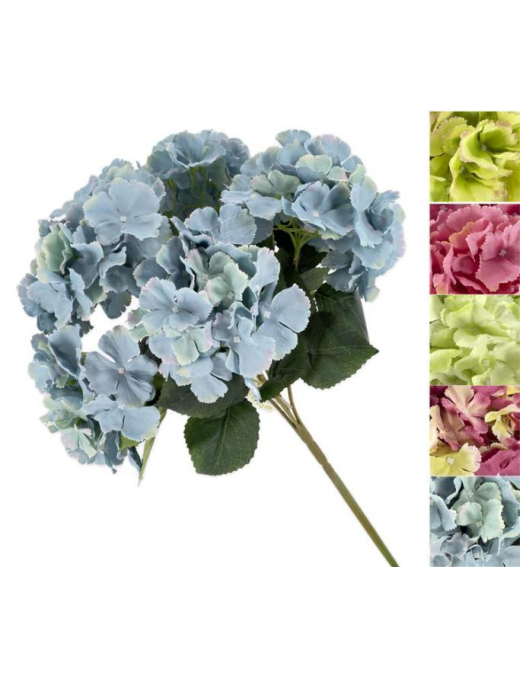 MAZZO G. ORTENSIE REGAL 48cm 63059